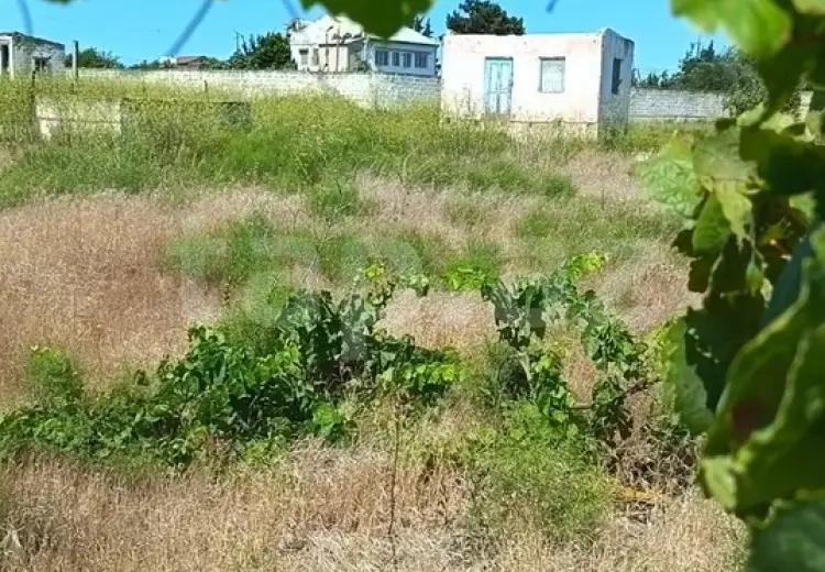 0 m² Obyekt / Ofis , Dübəndi, Xəzər, Bakı