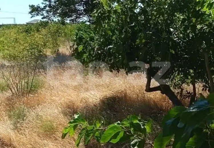 0 m² Obyekt / Ofis , Dübəndi, Xəzər, Bakı