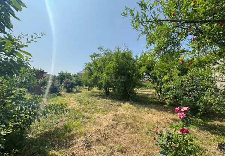 12 sot Torpaq Satılır, Xaçmaz