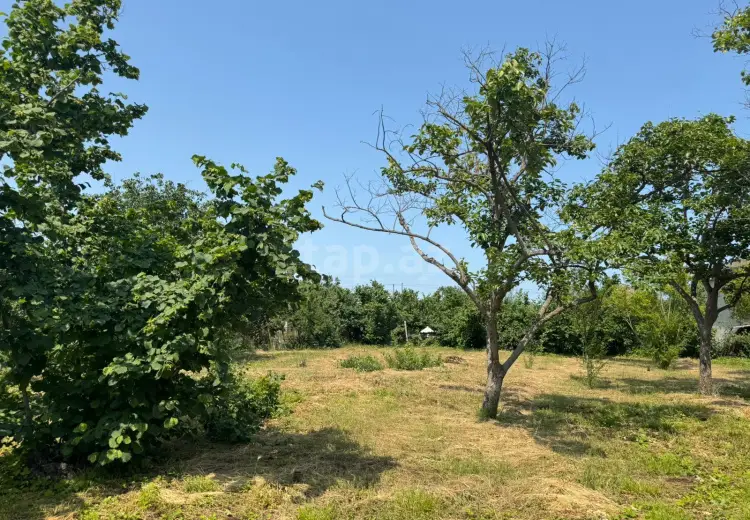 0 m² Obyekt / Ofis , Xaçmaz
