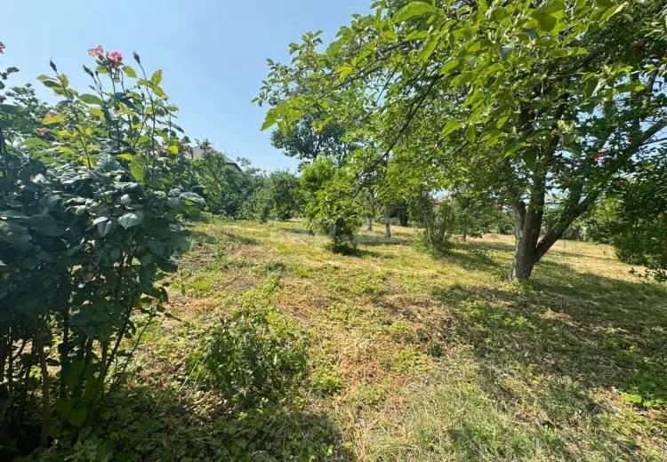 0 m² Obyekt / Ofis , Xaçmaz