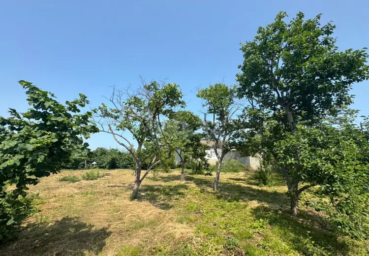 0 m² Obyekt / Ofis , Xaçmaz