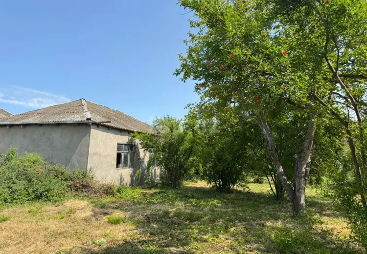 0 m² Obyekt / Ofis , Xaçmaz