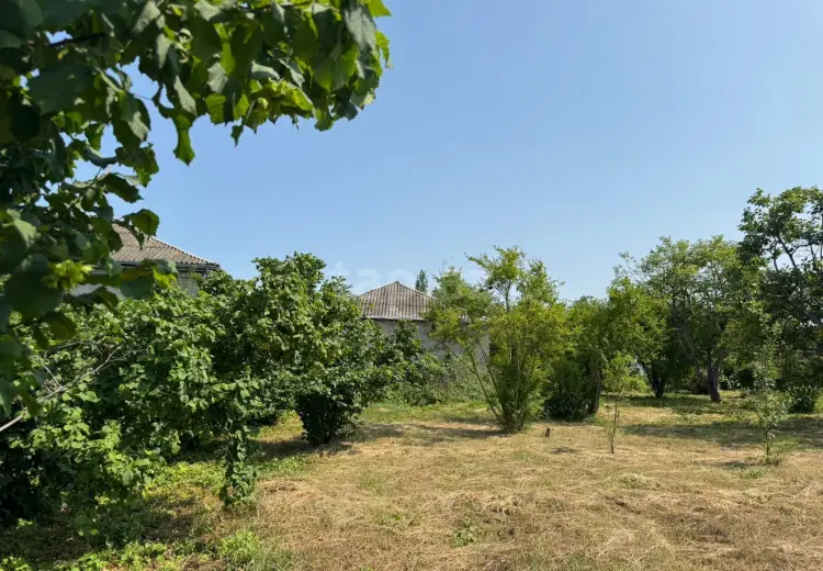 0 m² Obyekt / Ofis , Xaçmaz