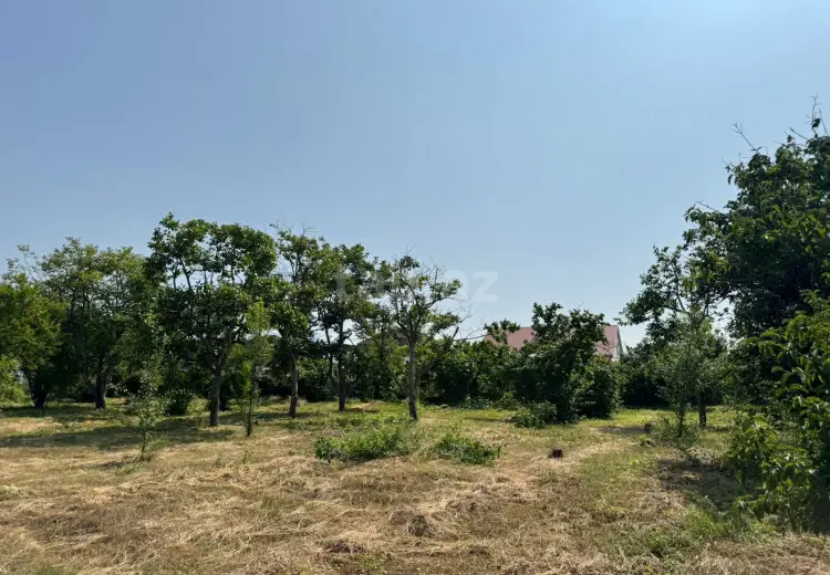 0 m² Obyekt / Ofis , Xaçmaz