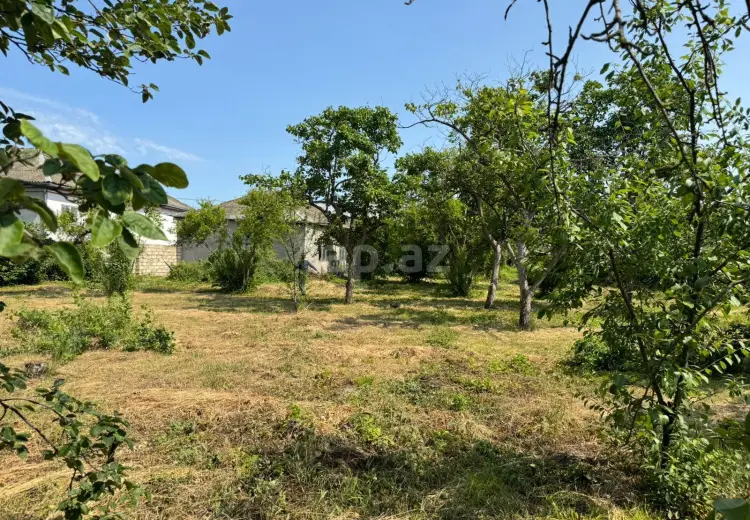 0 m² Obyekt / Ofis , Xaçmaz