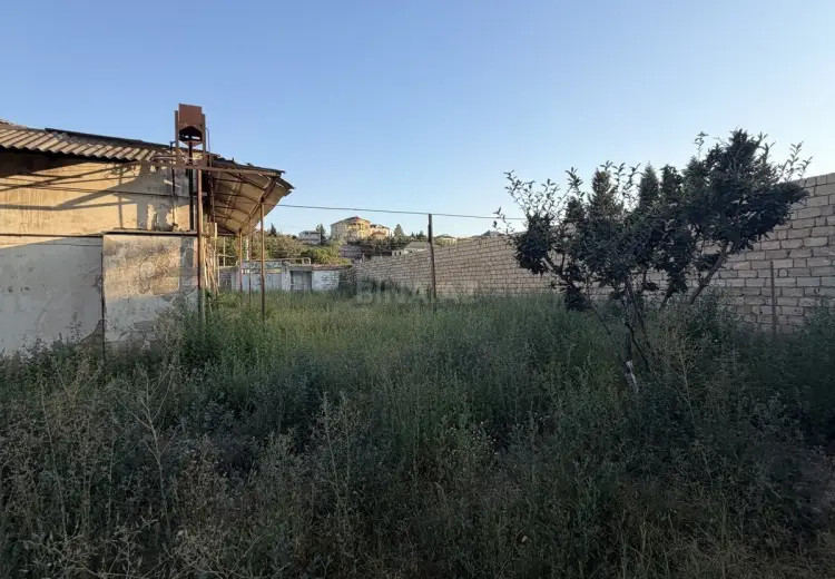 12 sot Torpaq Satılır, Novxanı, Abşeron
