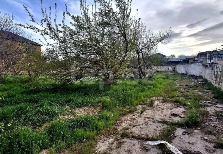 0 m² Obyekt / Ofis , Digah, Abşeron