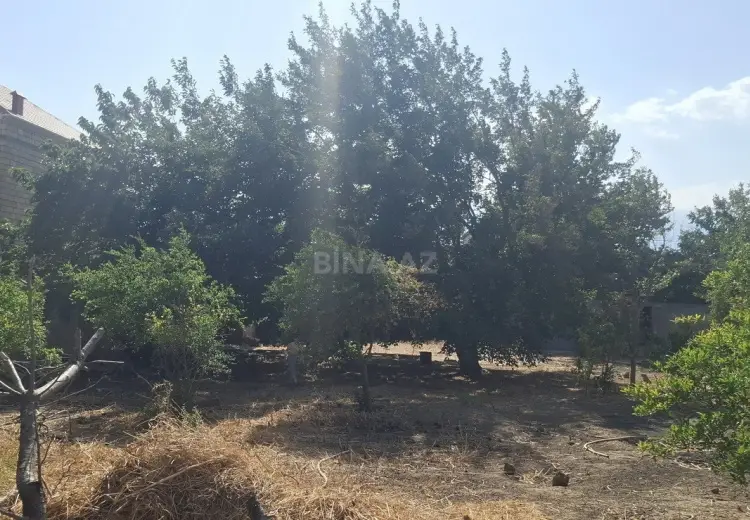 10 sot Torpaq Satılır, Mehdiabad, Abşeron