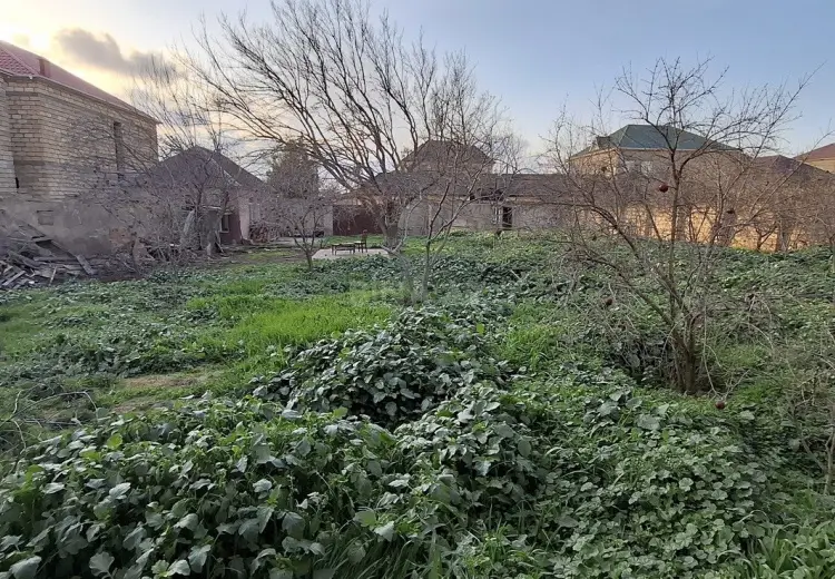 10 sot Torpaq Satılır, Mehdiabad, Abşeron