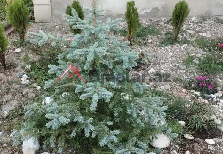 5 otaqlı mənzil Satılır, Qusar