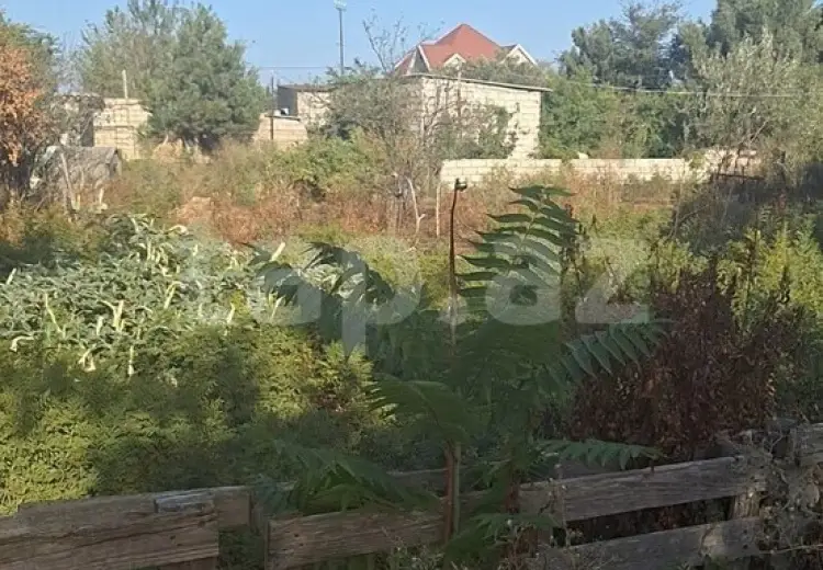 0 m² Obyekt / Ofis , Bakı