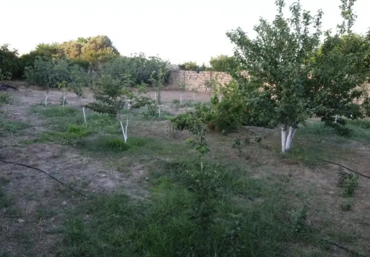2.5 sot Torpaq Satılır, Nardaran qəs., Sabunçu, Bakı