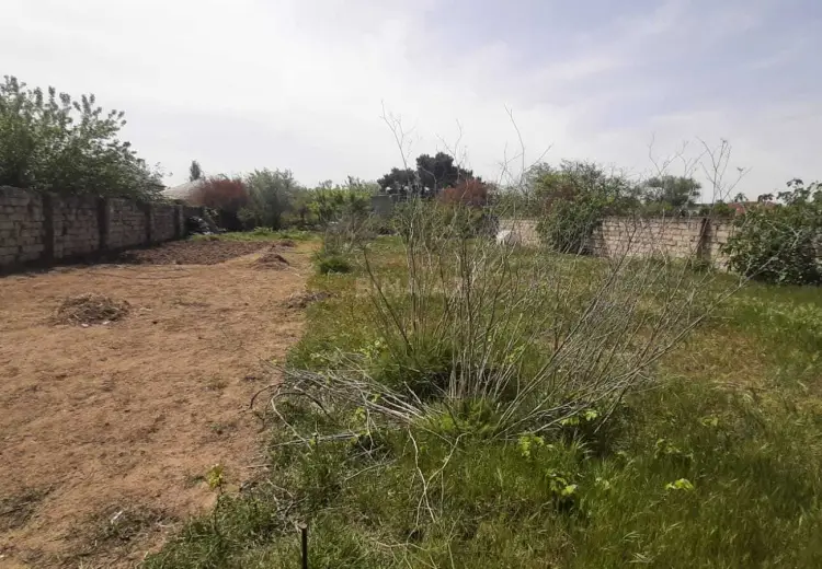2.5 sot Torpaq Satılır, Nardaran qəs., Sabunçu, Bakı