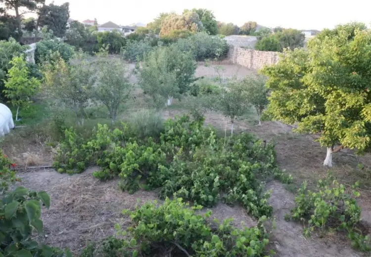 2.5 sot Torpaq Satılır, Nardaran qəs., Sabunçu, Bakı