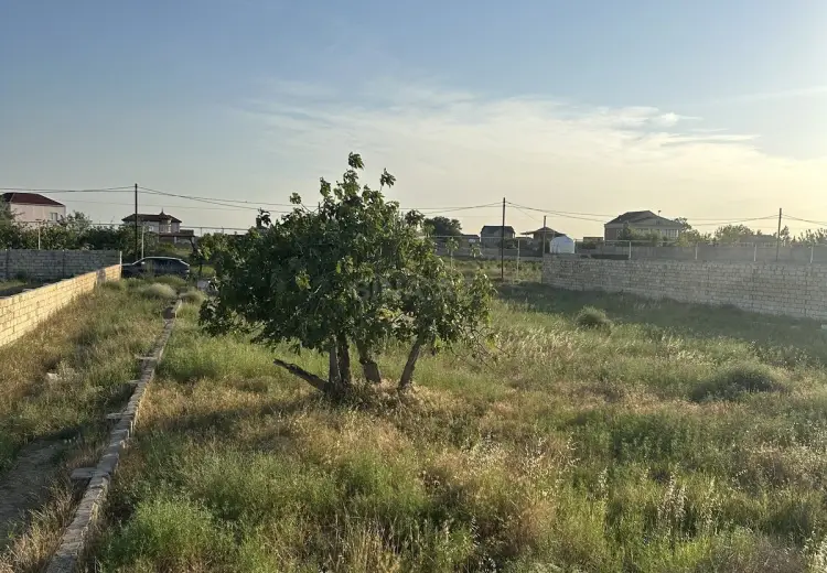 24 sot Torpaq Satılır, Nardaran qəs., Sabunçu, Bakı