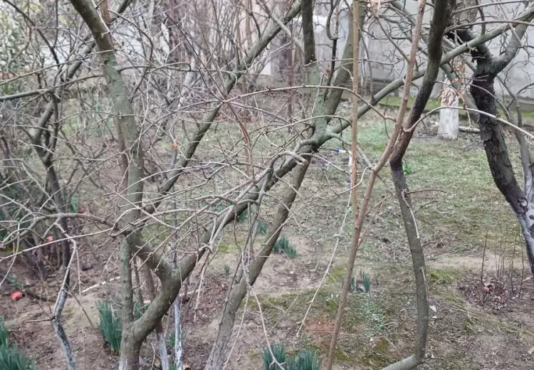 8 sot Torpaq Satılır, Badamdar qəs., Səbail, Bakı