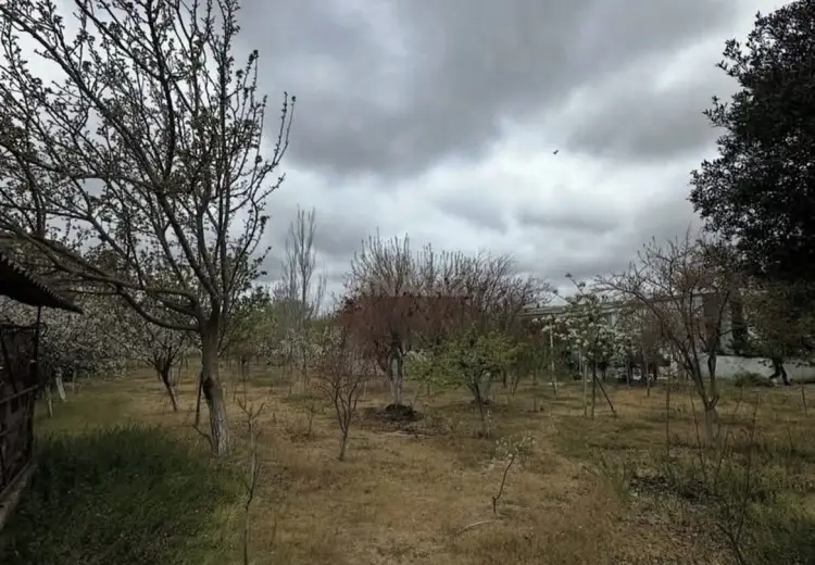 16 sot Torpaq Satılır, Şüvəlan, Xəzər, Bakı