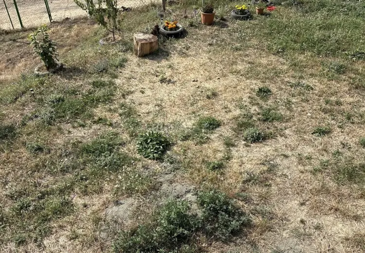 15 sot Torpaq Satılır, Nardaran qəs., Sabunçu, Bakı