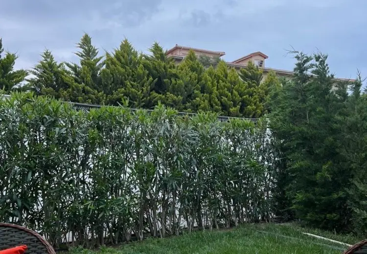 1 otaqlı mənzil Kirayə (günlük), Nardaran qəs., Sabunçu, Bakı