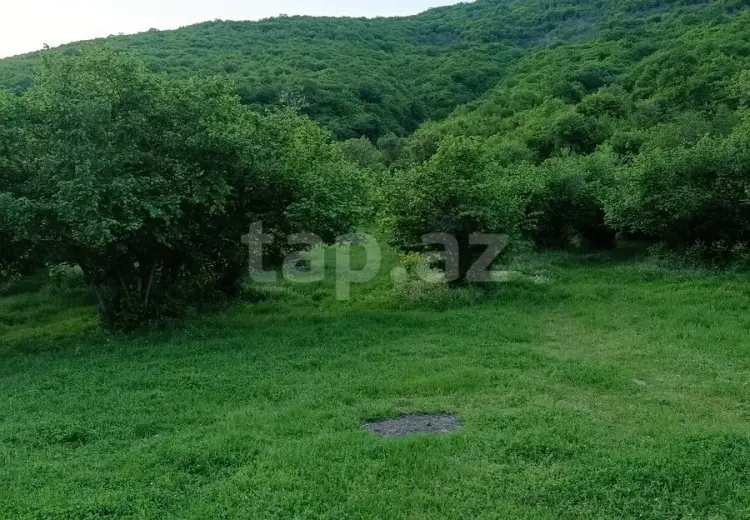 5 otaqlı mənzil , Oğuz