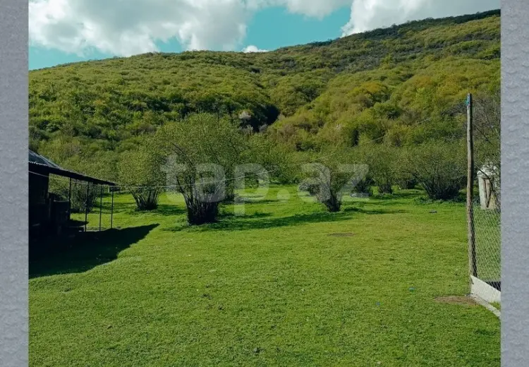 5 otaqlı mənzil , Oğuz