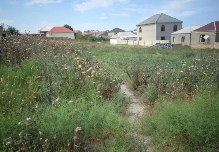 4 sot Torpaq Satılır, Saray, Abşeron