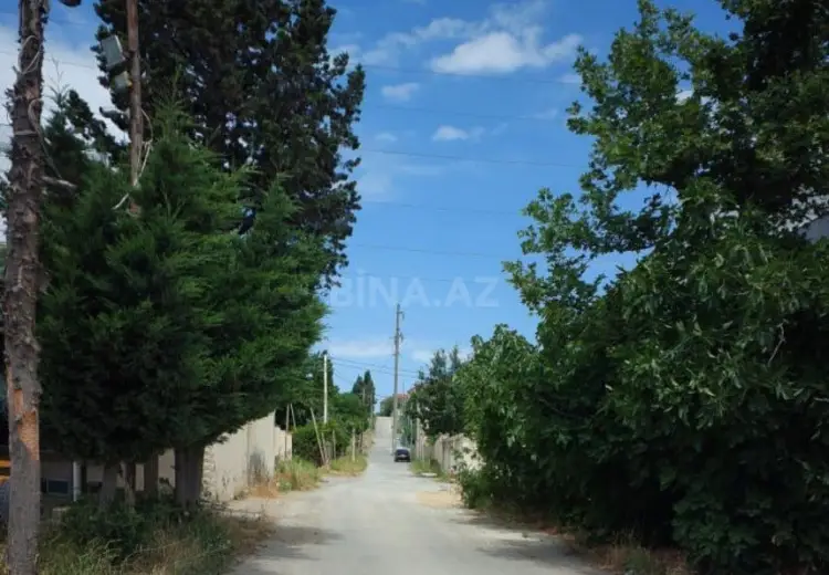 4 sot Torpaq Satılır, Saray, Abşeron