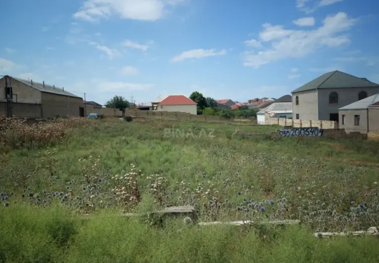 4 sot Torpaq Satılır, Saray, Abşeron