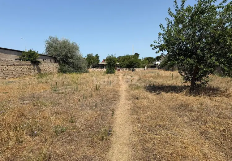 0 m² Obyekt / Ofis , Buzovna, Xəzər, Bakı