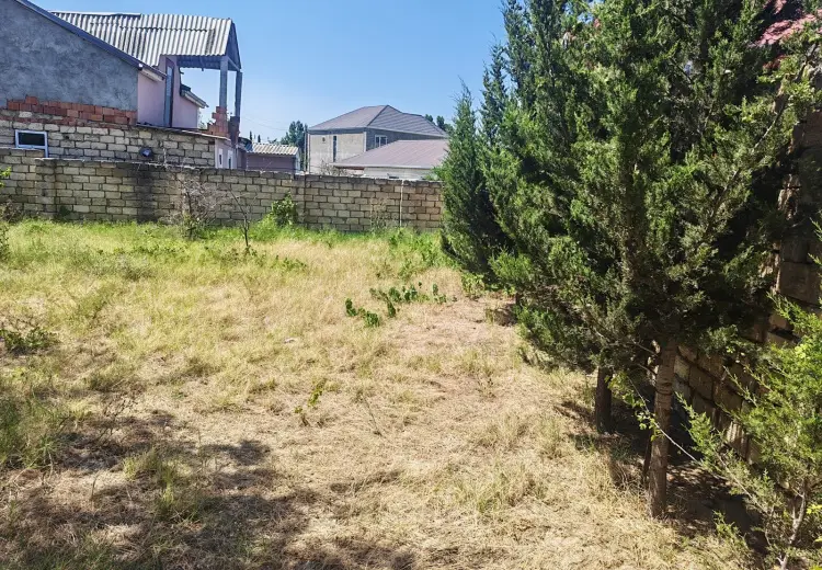 3 sot Torpaq Satılır, Novxanı, Abşeron