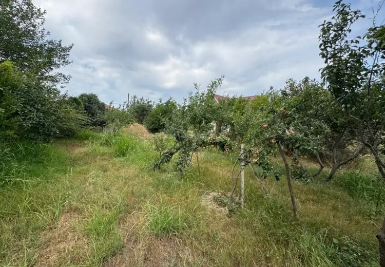 34 sot Torpaq Satılır, Zığ qəs., Suraxanı, Bakı