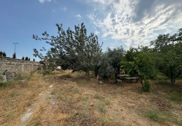 34 sot Torpaq Satılır, Zığ qəs., Suraxanı, Bakı