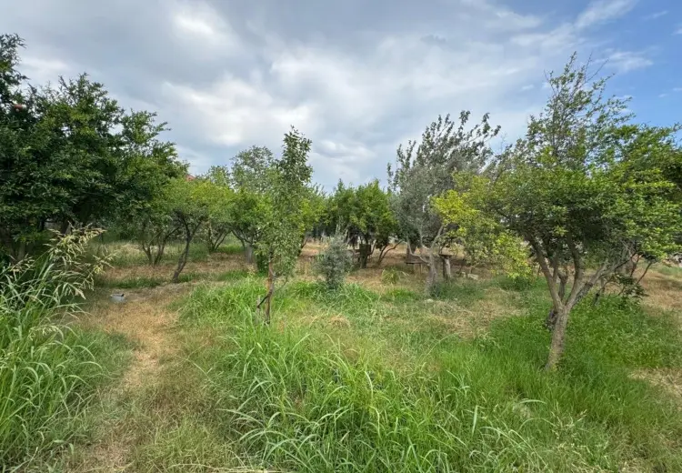 34 sot Torpaq Satılır, Zığ qəs., Suraxanı, Bakı