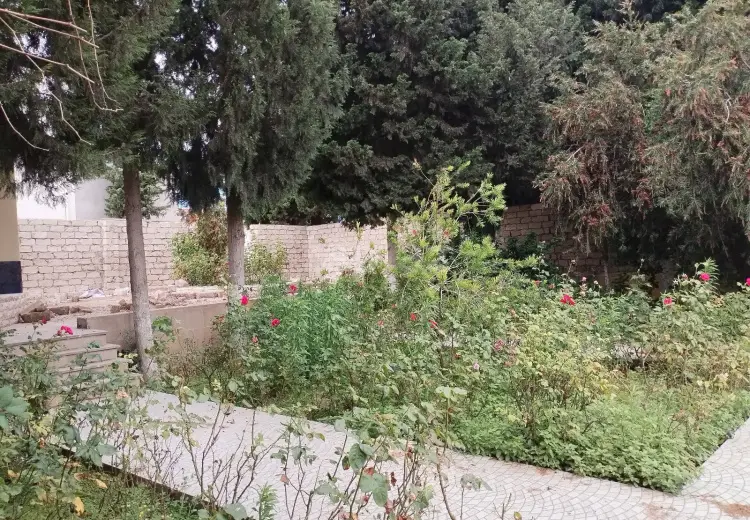 0 m² Obyekt / Ofis , Mərdəkan, Xəzər, Bakı