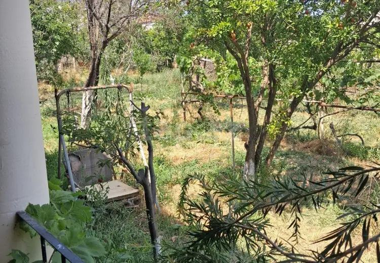 0 m² Obyekt / Ofis , Pirşağı qəs., Sabunçu, Bakı