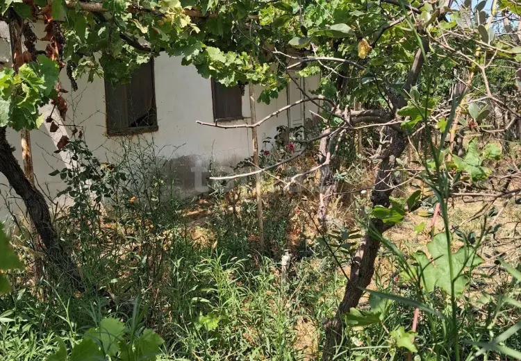 0 m² Obyekt / Ofis , Pirşağı qəs., Sabunçu, Bakı