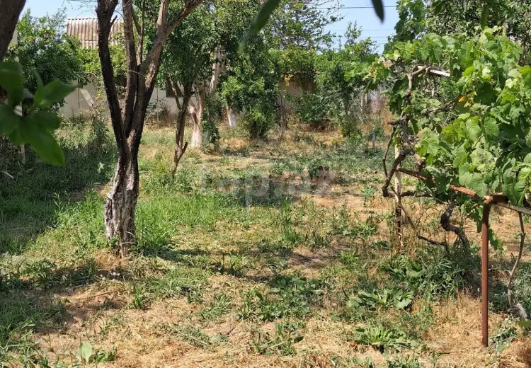 0 m² Obyekt / Ofis , Pirşağı qəs., Sabunçu, Bakı
