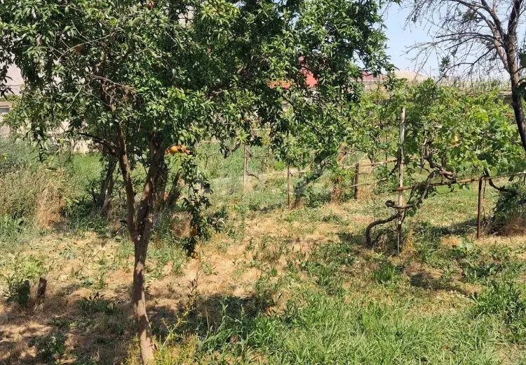 0 m² Obyekt / Ofis , Pirşağı qəs., Sabunçu, Bakı