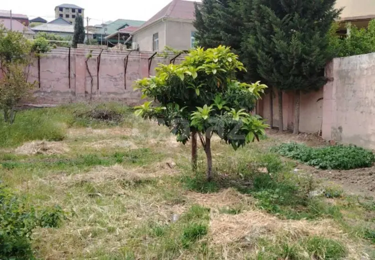 0 m² Obyekt / Ofis , Bakı