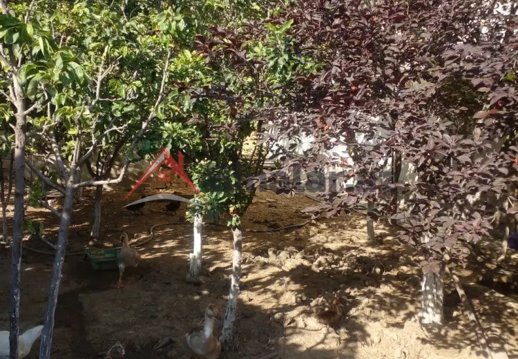 9 otaqlı mənzil Satılır, Xırdalan