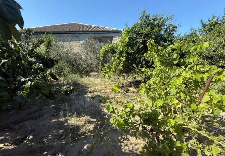 0 m² Obyekt / Ofis , Məştağa qəs., Sabunçu, Bakı