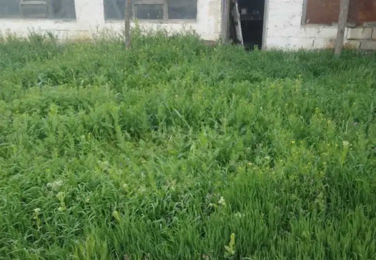 11 sot Torpaq Satılır, Biləcəri qəs., Binəqədi, Bakı