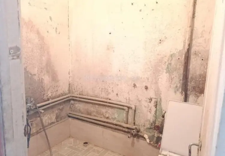 230 AZN - 1 otaqlı mənzil Kirayə (aylıq), 5-ci mikrorayon, Sumqayıt