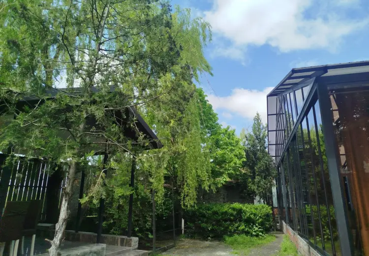 1200 m² Obyekt / Ofis Satılır, Zaqatala