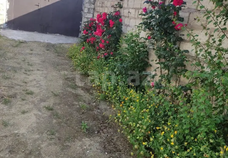 0 m² Obyekt / Ofis , Mərdəkan, Xəzər, Bakı
