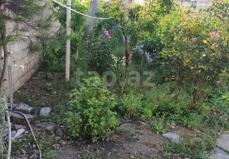 0 m² Obyekt / Ofis , Mərdəkan, Xəzər, Bakı