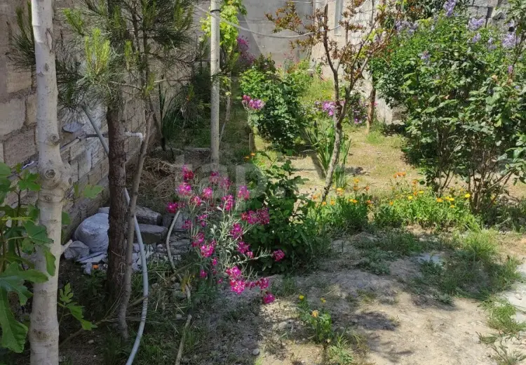 0 m² Obyekt / Ofis , Mərdəkan, Xəzər, Bakı