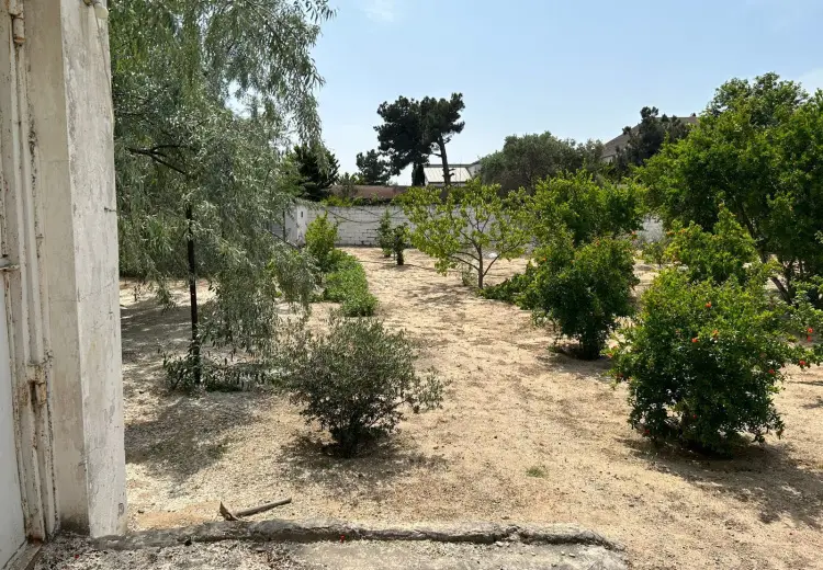 20 sot Torpaq Satılır, Bilgəh qəs., Sabunçu, Bakı