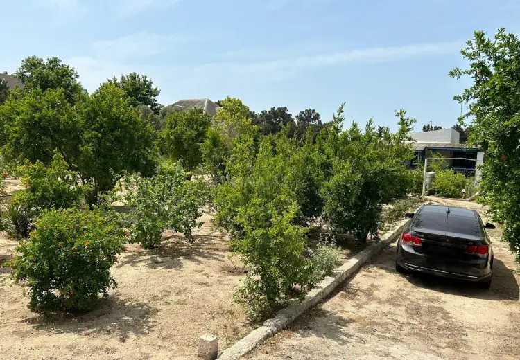 20 sot Torpaq Satılır, Bilgəh qəs., Sabunçu, Bakı